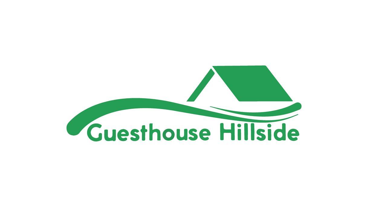 Guesthouse Hillside Τυφλίδα Εξωτερικό φωτογραφία